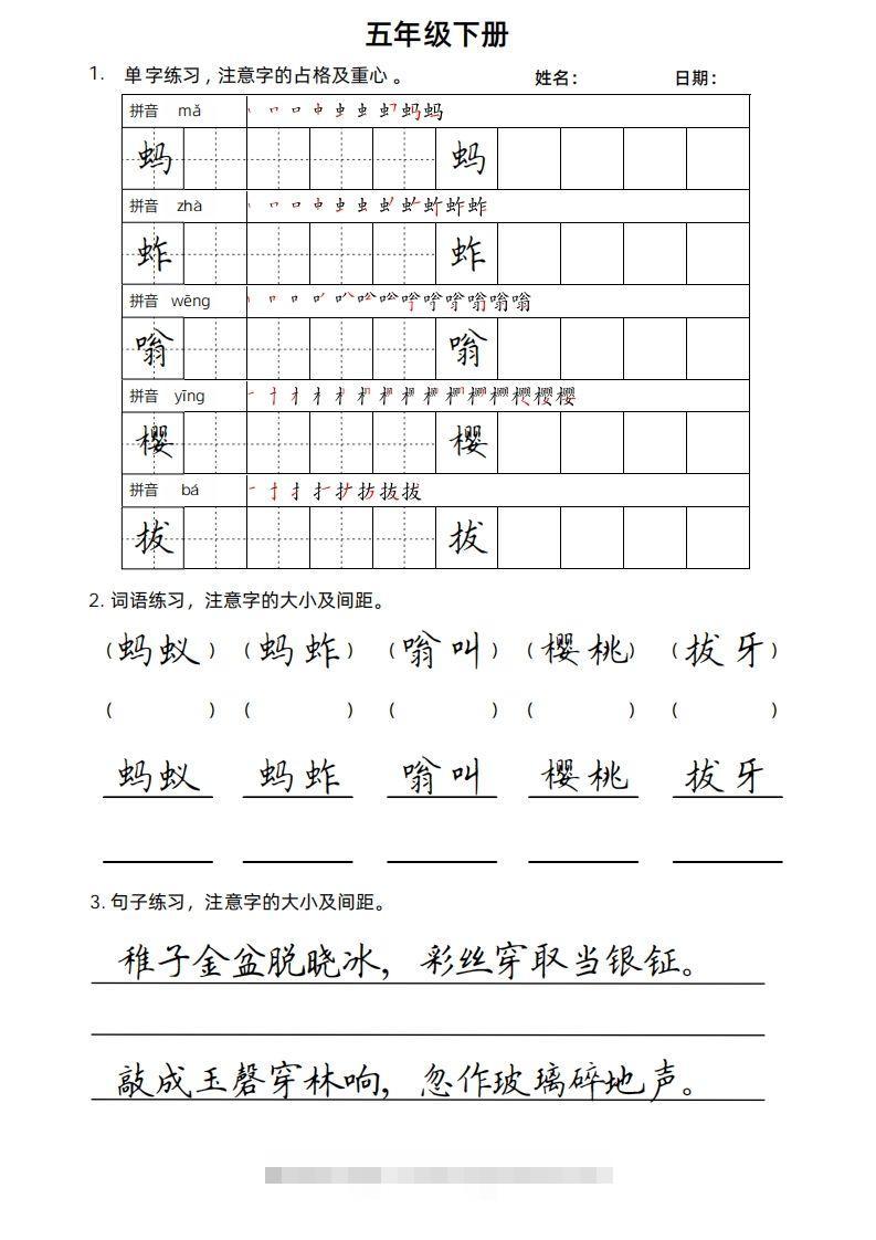 图片[2]-5年级下楷书-资源V站