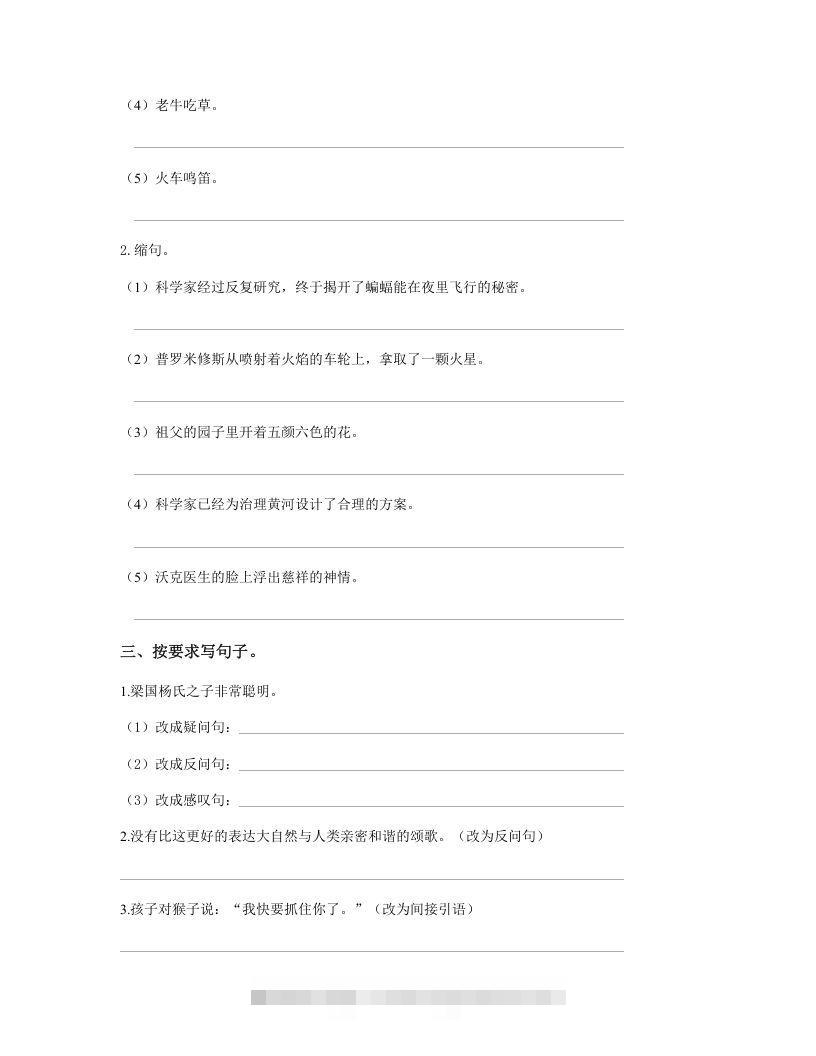 图片[3]-五年级语文下册句子专项练习（部编版）-资源V站