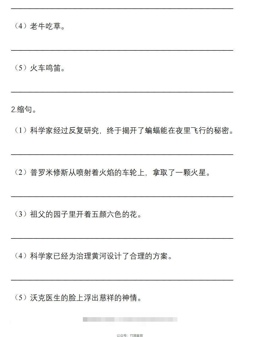 图片[3]-5年级句子专项练习-资源V站