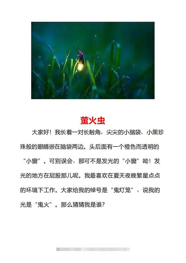 图片[3]-二年级上册语文口语交际一“有趣的动物”指导及范文-资源V站