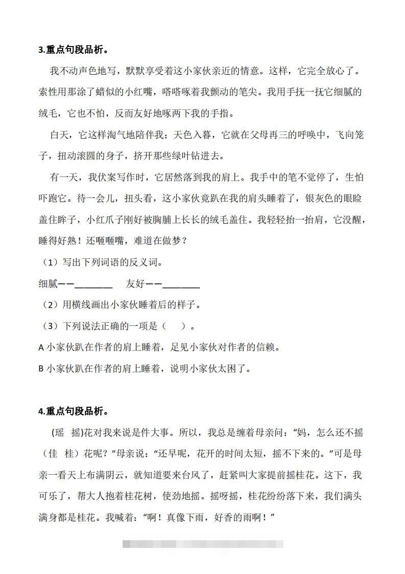 图片[2]-五上语文：阅读专项训练习题50道-资源V站