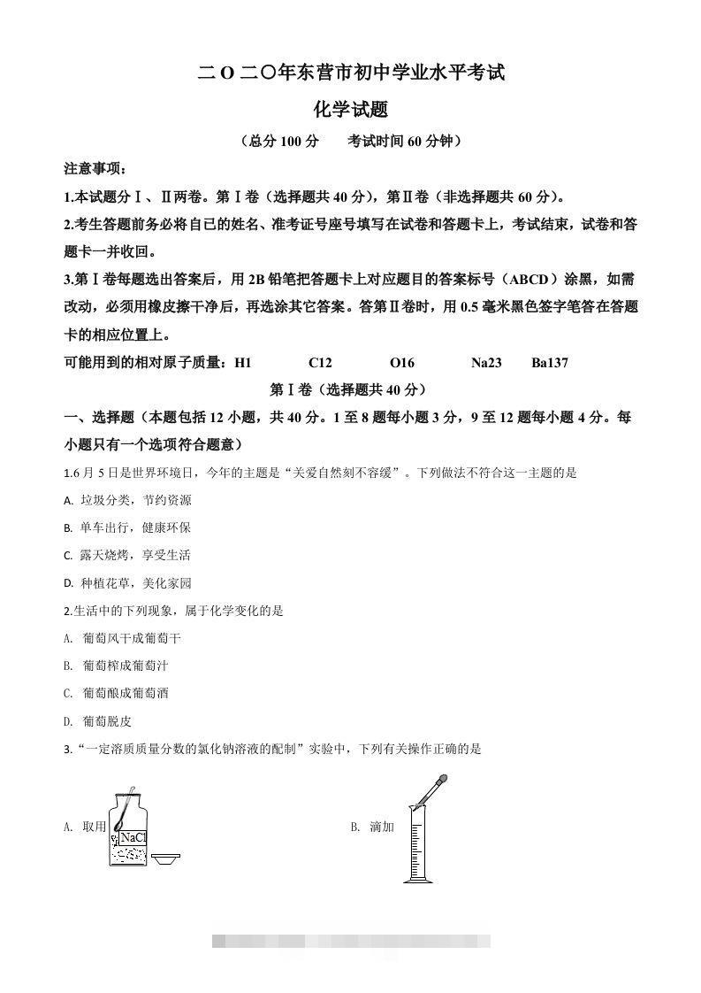 山东省东营市2020年中考化学试题（空白卷）-资源V站