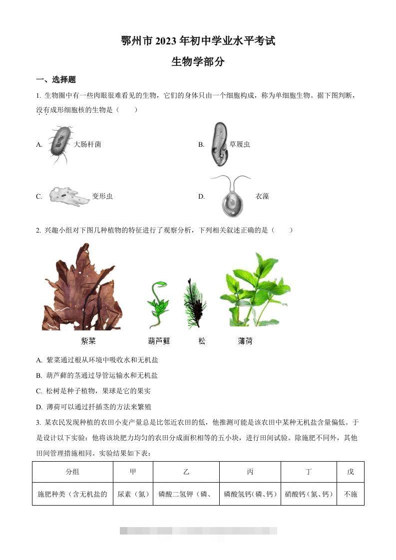 2023年湖北省鄂州市中考生物真题（空白卷）-资源V站