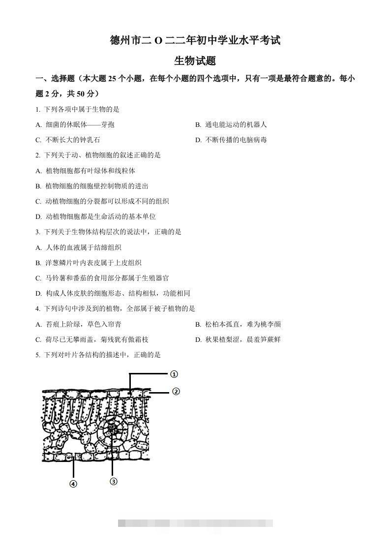 2022年山东省德州市中考生物真题（空白卷）-资源V站