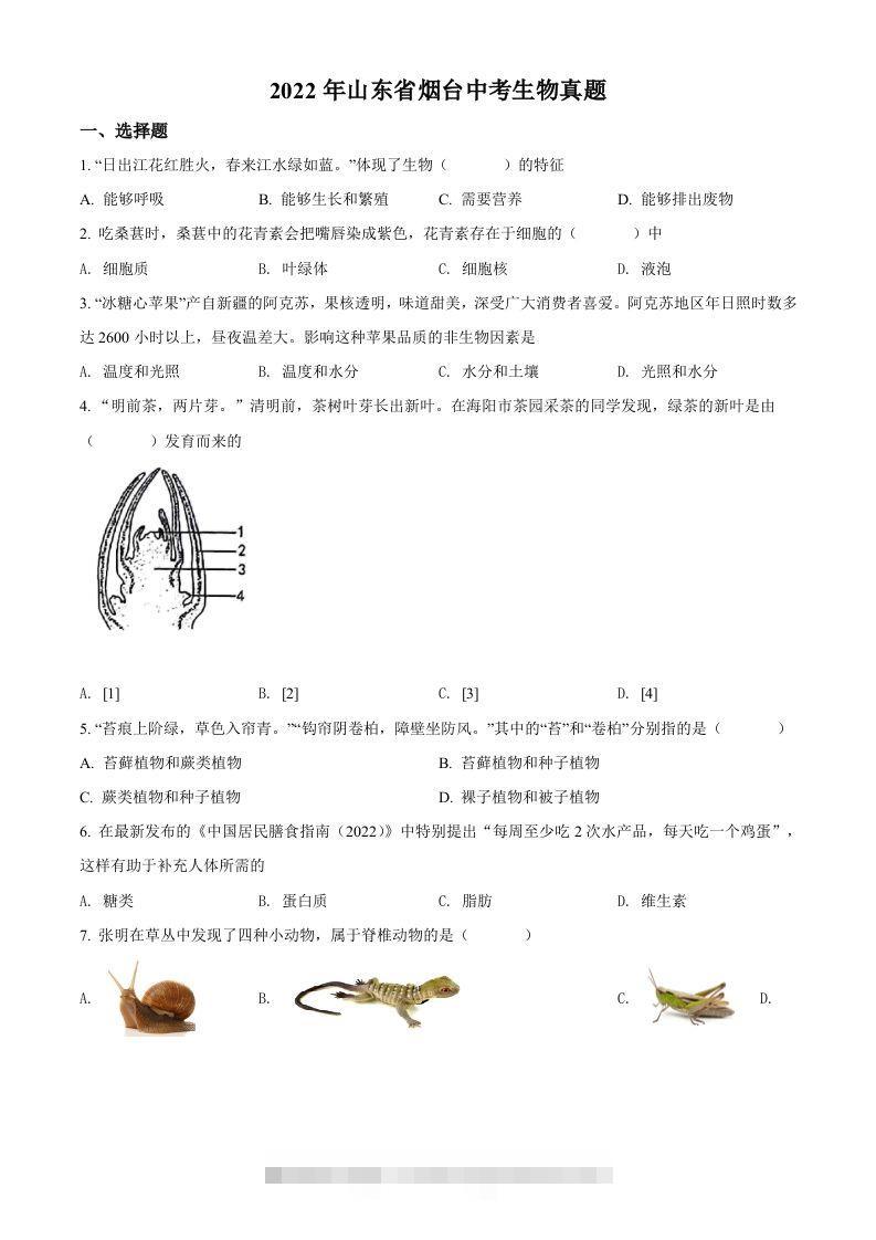 2022年山东省烟台中考生物真题（空白卷）-资源V站