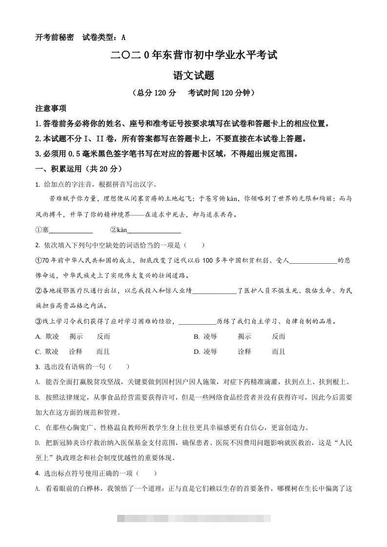 山东省东营市2020年中考语文试题（空白卷）-资源V站
