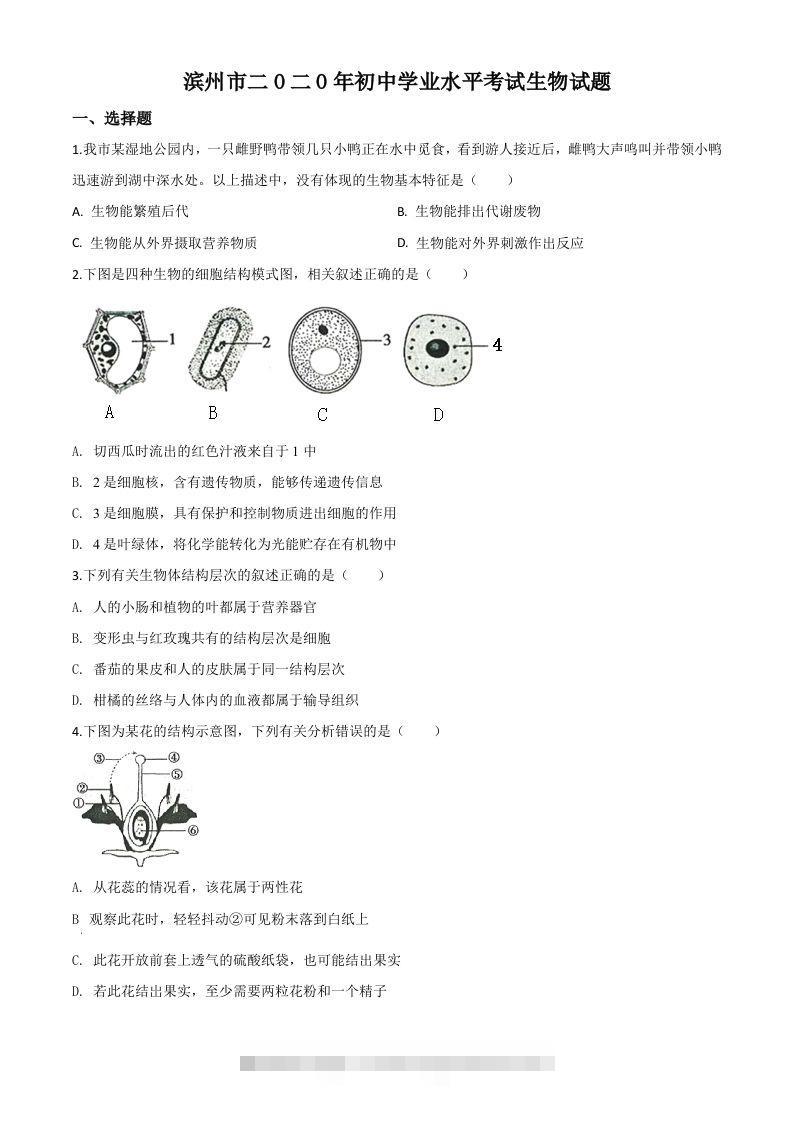 山东省滨州市2020年中考生物试题（空白卷）-资源V站