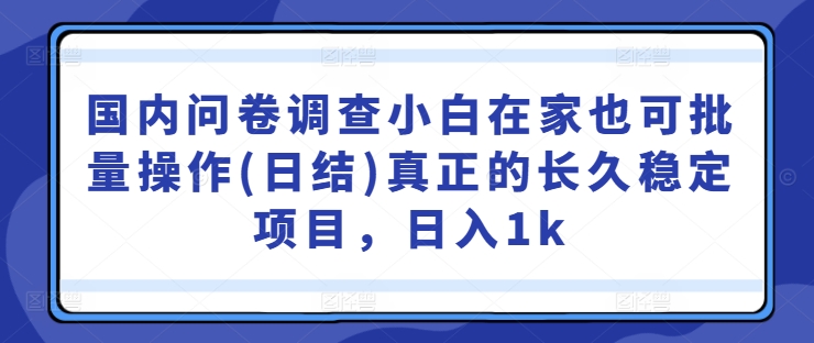 国内问卷调查小白在家也可批量操作(日结)真正的长久稳定项目，日入1k【揭秘】-资源V站