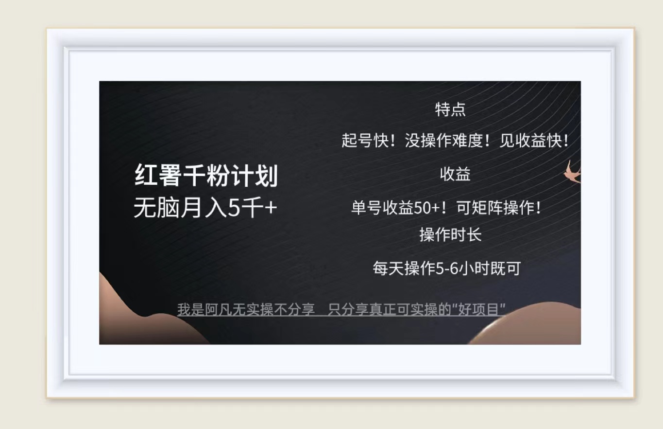 红薯千粉计划无脑月入5千+！既做既赚！-资源V站