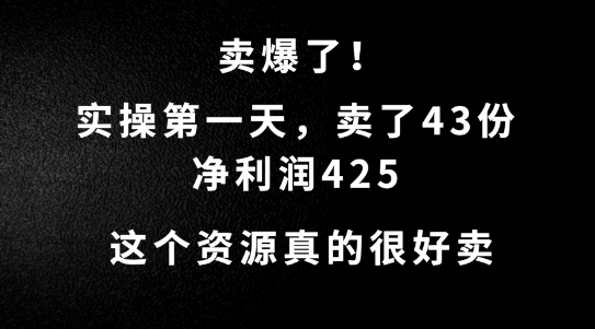 这个资源，需求很大，实操第一天卖了43份，净利润425【揭秘】-资源V站