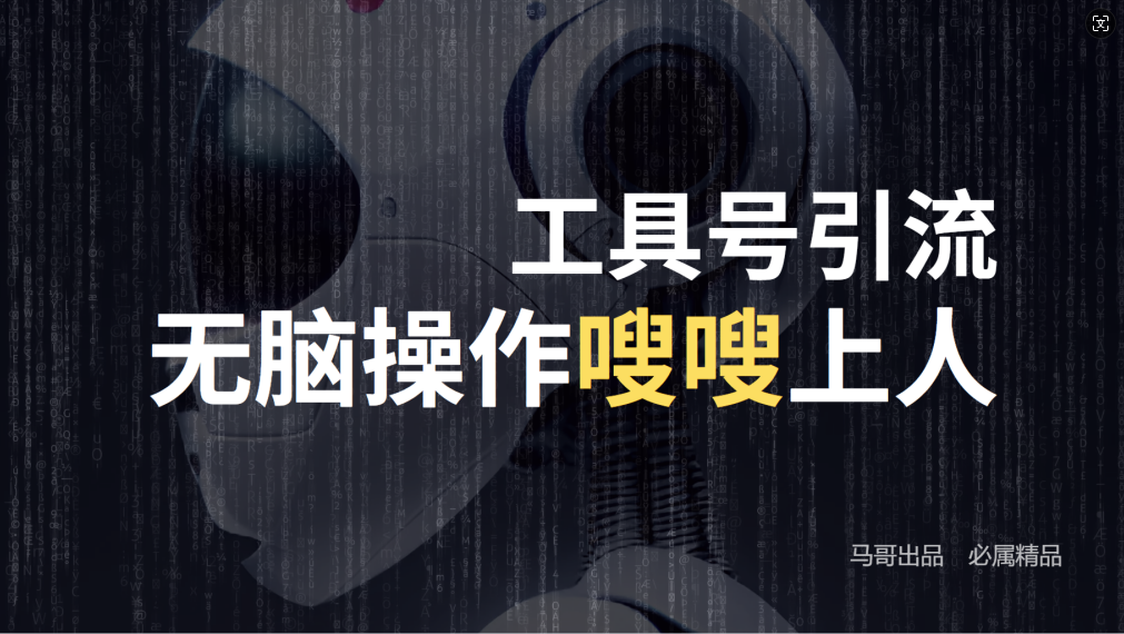 24年抖音最新工具号日引流300+创业粉，日入5000+-资源V站