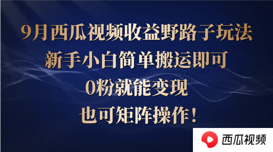 西瓜视频收益野路子玩法，新手小白简单搬运即可，0粉就能变现，也可矩…-资源V站
