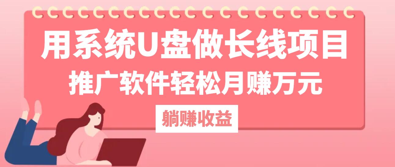 用系统U盘做长线项目，推广软件轻松月赚万元-资源V站