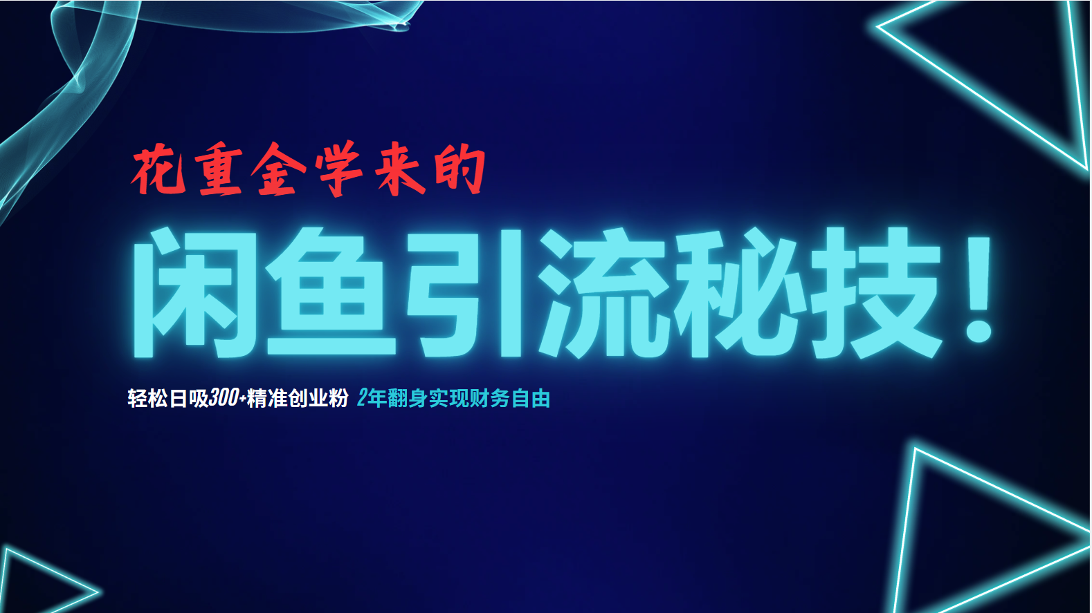 花重金学来的闲鱼引流秘技！轻松日吸300+精准创业粉，每天躺赚5000+，2…-资源V站