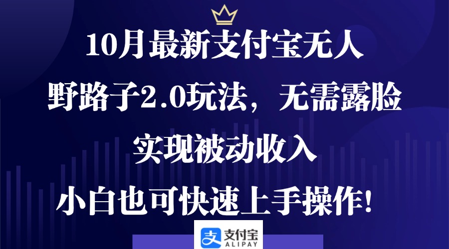 10月最新支付宝无人野路子2.0玩法，无需露脸，实现被动收入，小白也可…-资源V站