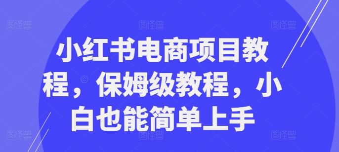 小红书电商项目教程，保姆级教程，小白也能简单上手-资源V站