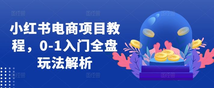 小红书电商项目教程，0-1入门全盘玩法解析-资源V站
