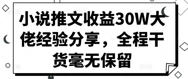 小说推文收益30W大佬经验分享，全程干货毫无保留-资源V站