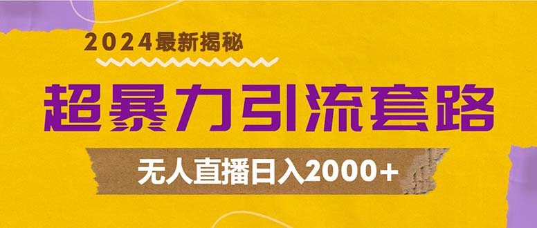 超暴力引流套路，无人直播日入2000+-资源V站