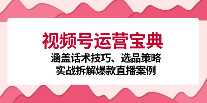 视频号运营宝典：涵盖话术技巧、选品策略、实战拆解爆款直播案例-资源V站