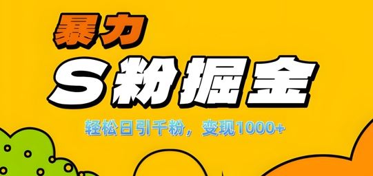 单人单机日引千粉，变现1k+，S粉流量掘金计划攻略【揭秘】-资源V站