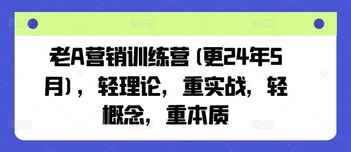 老A营销训练营(更24年10月)，轻理论，重实战，轻概念，重本质-资源V站