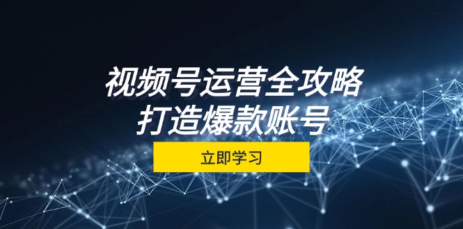 视频号运营全攻略，从定位到成交一站式学习，视频号核心秘诀，打造爆款…-资源V站