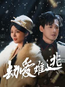 17525-劫爱难逃（30集）-资源V站