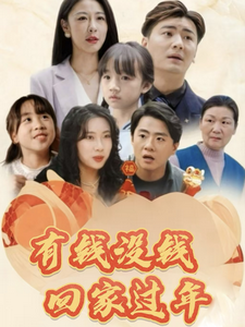 17949-有钱没钱回家过年（35集）-资源V站