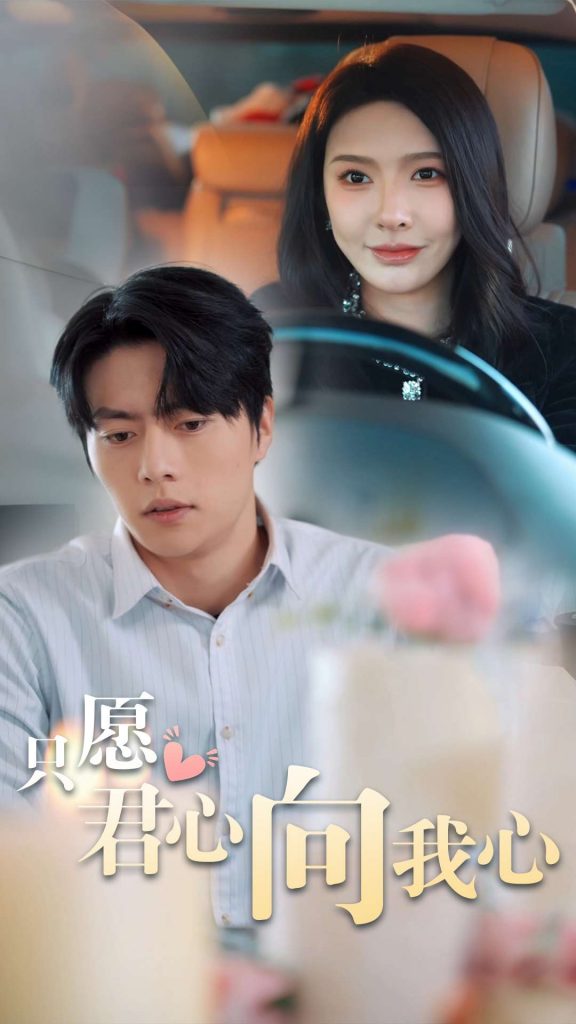 16978-只愿君心向我心（31集）张磊-资源V站