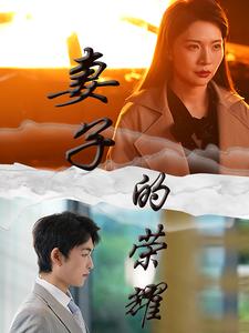 15609-妻子的荣耀（40集）-资源V站