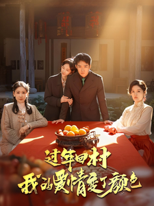 17380-过年回村我的爱情变了颜色（30集）-资源V站