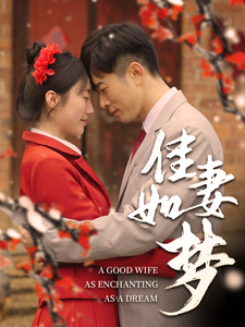 19193-佳妻如梦（62集）-资源V站