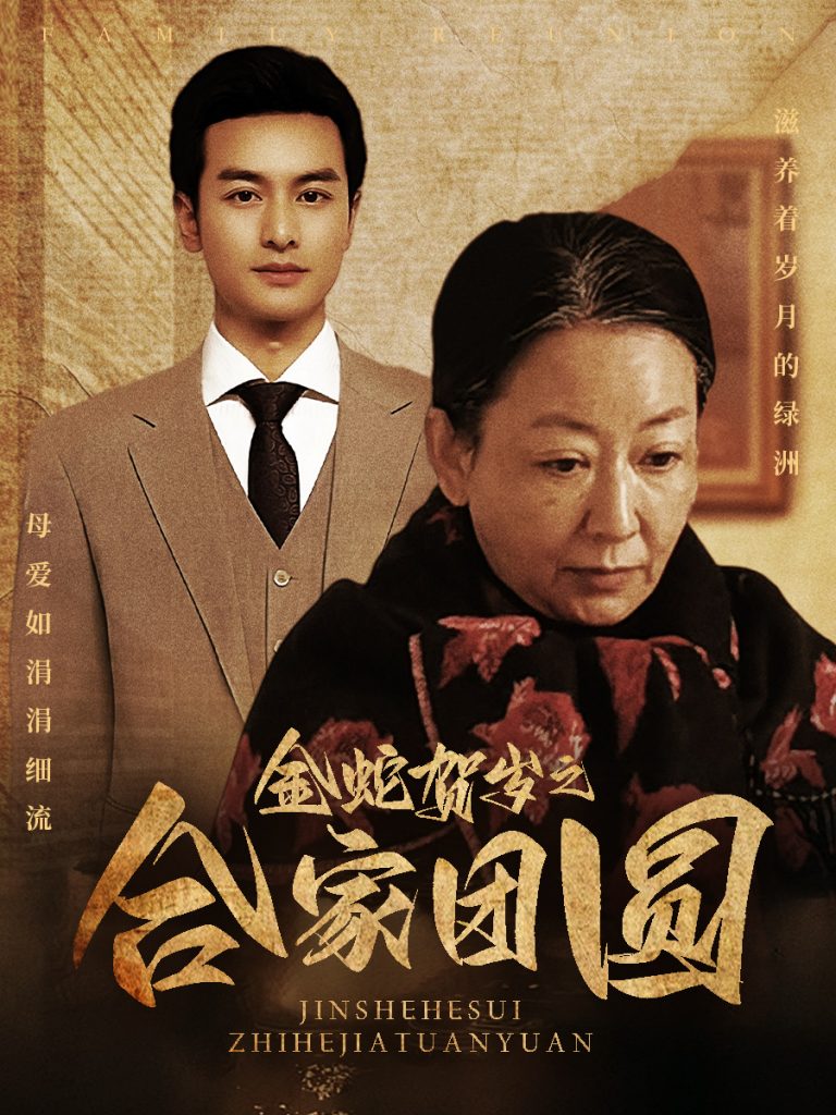 16555-金蛇贺岁之合家团圆（30集）-资源V站