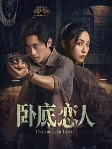 17255-卧底恋人（65集）-资源V站