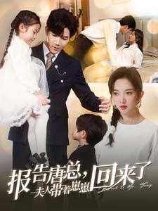 15594-报告唐总夫人带着崽崽回来了（100集）-资源V站