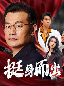 16393-挺身而出（30集）-资源V站