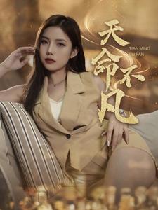 17136-天命不凡（28集）-资源V站