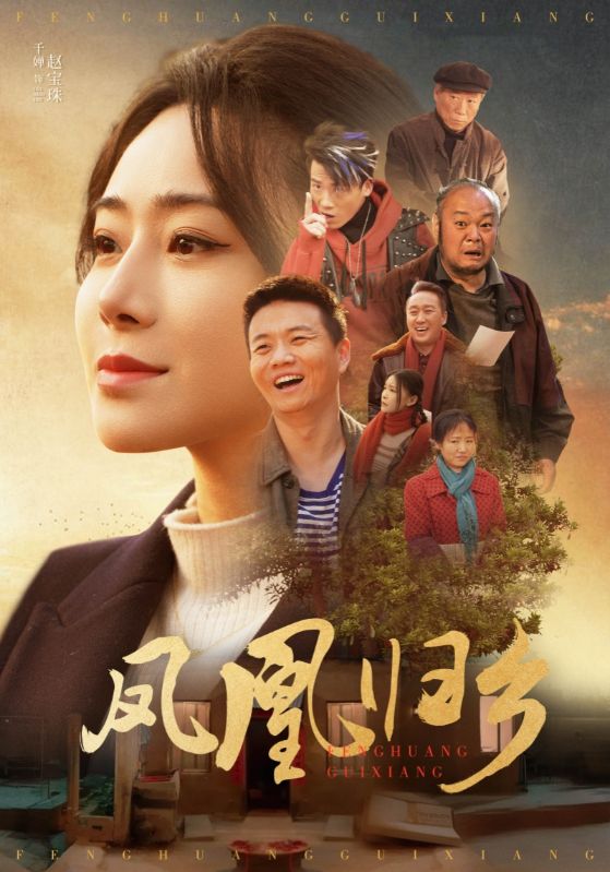 17444-凤凰归乡（33集）-资源V站