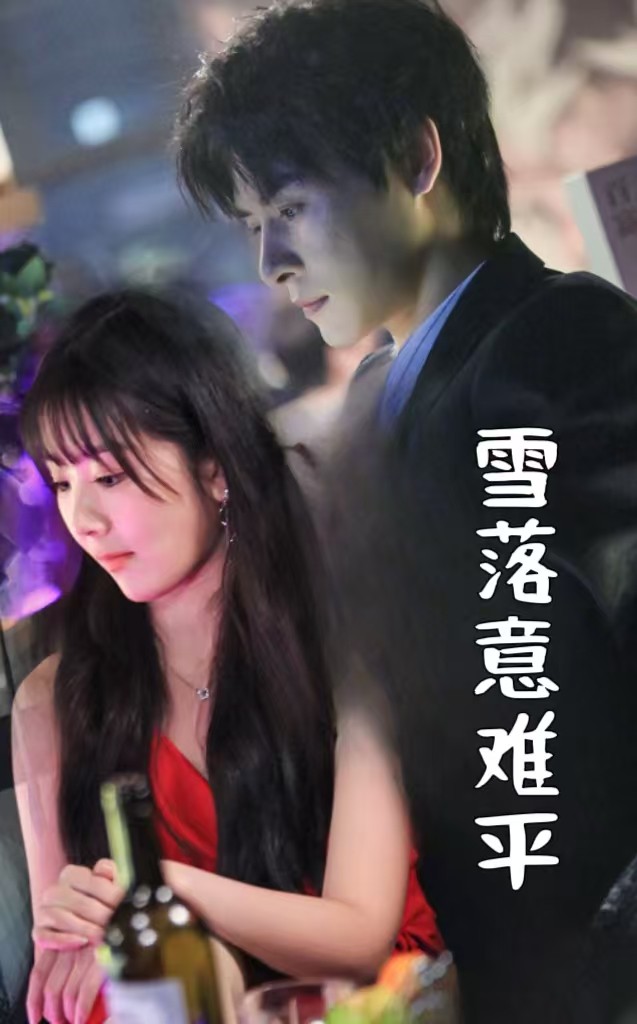 15993-雪落意难平（35集）-资源V站