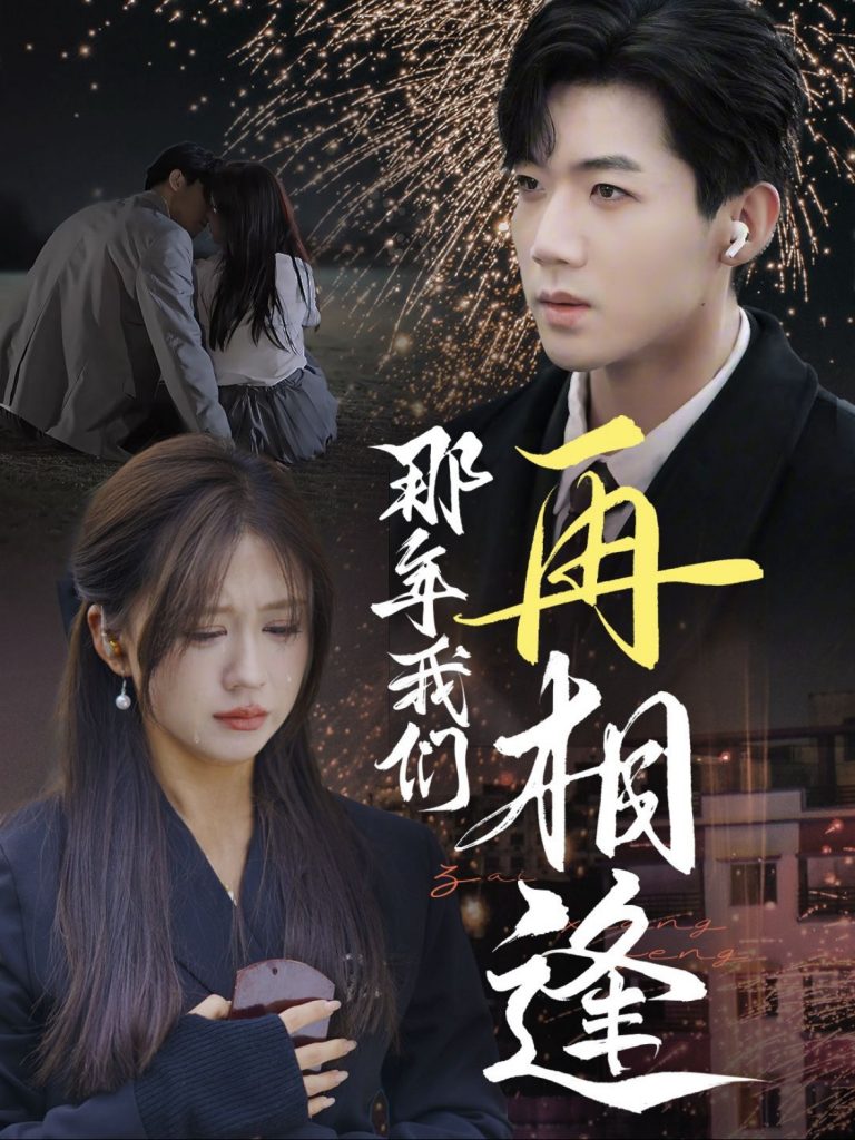 14387-那年我们再相逢（65集）张北淅＆柴慧欣-资源V站