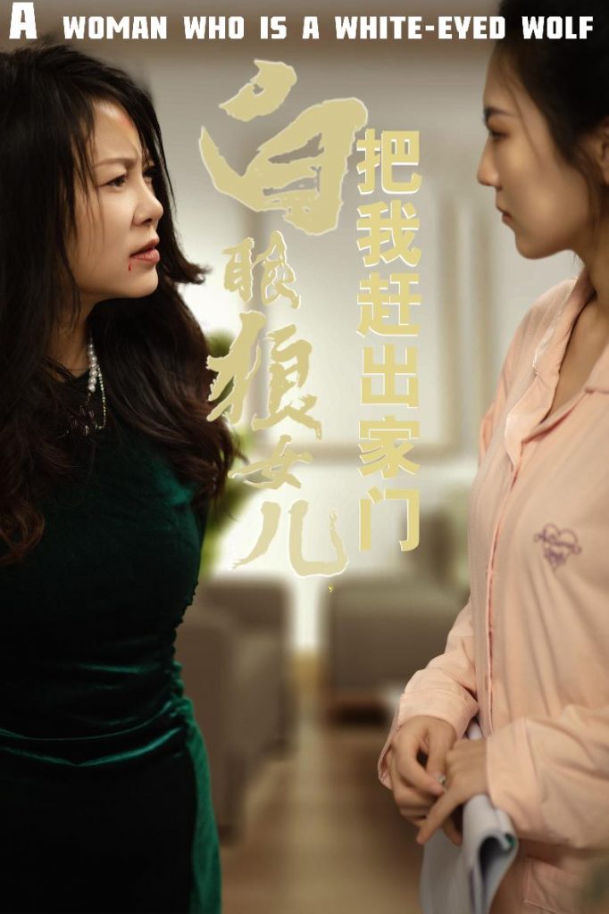 15914-反哺之义尽成尘&白眼狼女儿把我赶出家门（35集）-资源V站