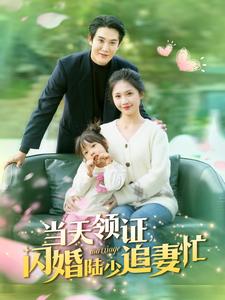 16508-当天领证闪婚陆少追妻忙（80集）-资源V站