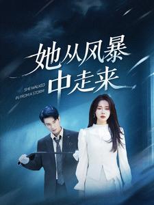 21272-她从风暴中走来（60集）孙博文＆路文卓-资源V站