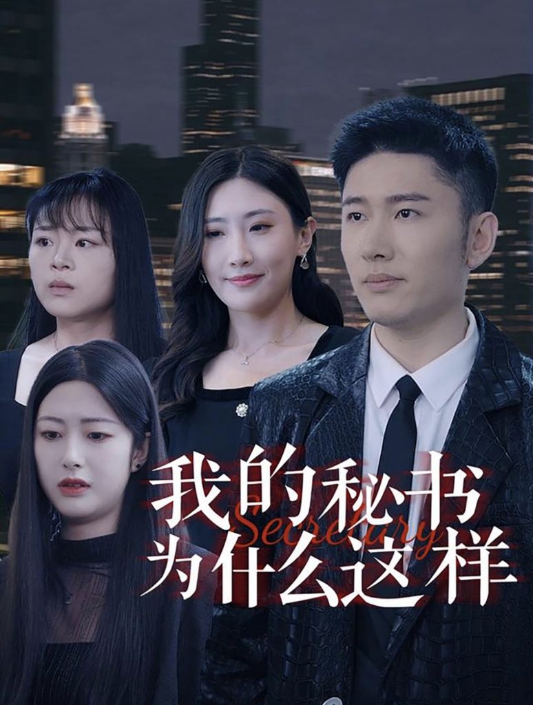 14335-我的秘书为什么这样（94集）-资源V站