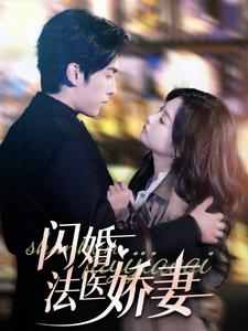 17143-闪婚法医娇妻（92集）-资源V站