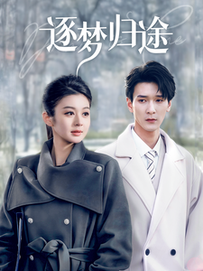 18583-逐梦归途（60集）孙博文＆唐雪晴-资源V站