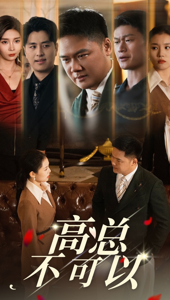 14702-高总不可以（45集）-资源V站