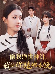 15051-偷我绝世神针我让你跪地求饶（30集）-资源V站