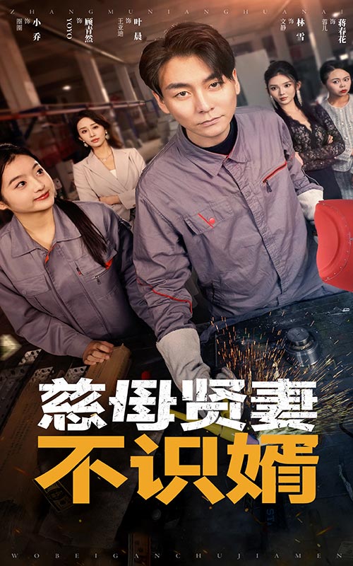 14871-慈母贤妻不识婿（45集）-资源V站